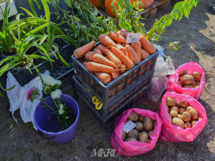 Ярмарка выходного дня пройдет 8 ноября в Чите