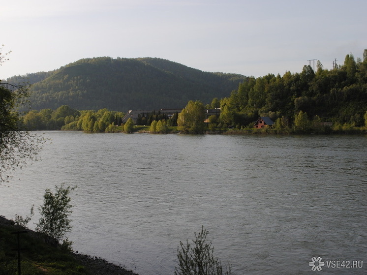 Власти Кемеровской области заявили о факте загрязнения еще одной реки старателями, занимающимися добычей драгоценного металла
