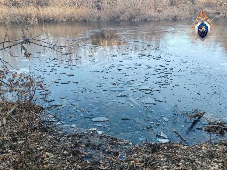 В Кваркенском районе утонул ребёнок