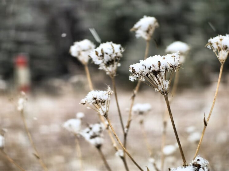 Синоптики пообещали небольшой дождь и мокрый снег в Хакасии