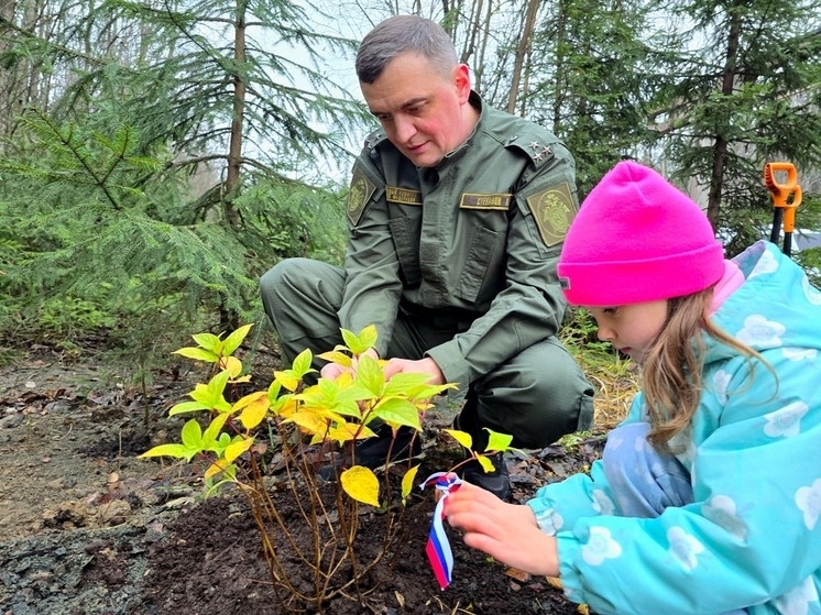Следователи Карелии вместе с детьми высадили деревья