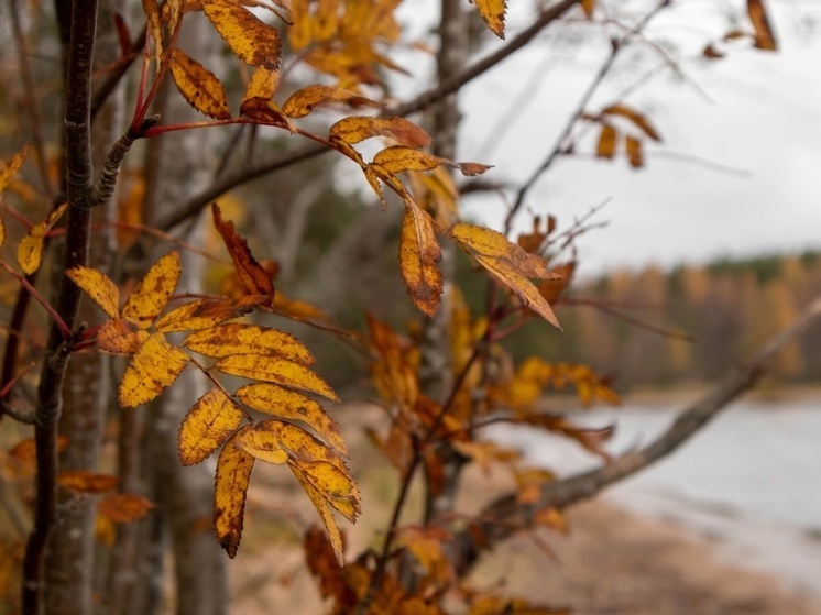 В Карелии 5 ноября температура поднимется до +10 градусов