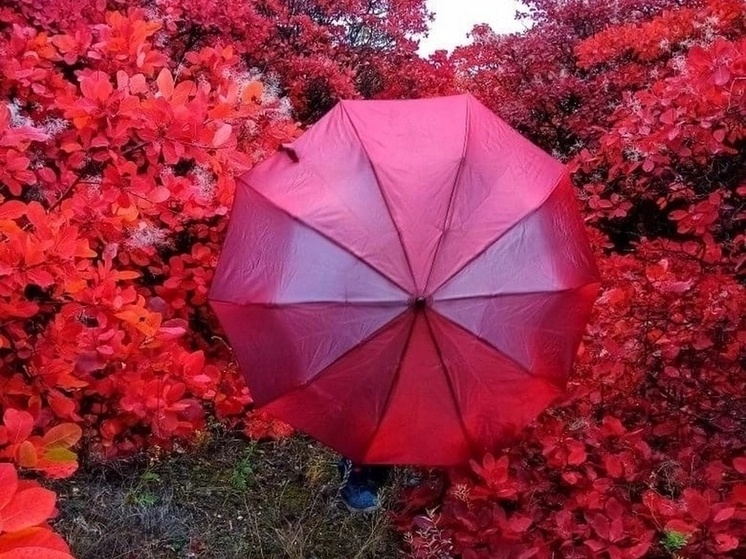 В среду зонт жителям Воронежской области не понадобится
