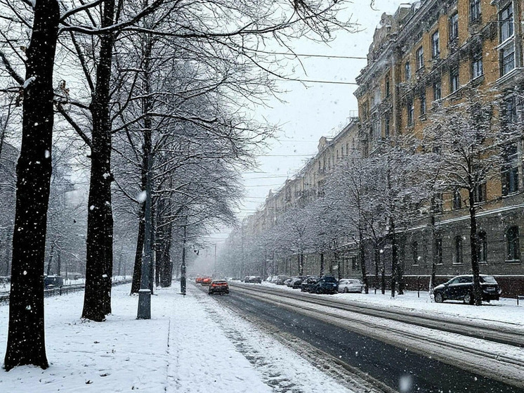 Самару в начале ноября накрыл первый снег — жители в восторге