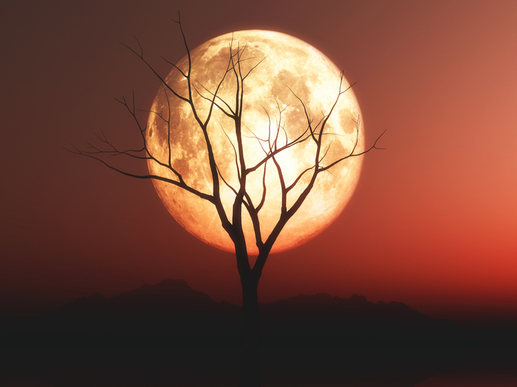 Суперлуние увидят жители Новосибирска в ночь с 5 на 6 ноября