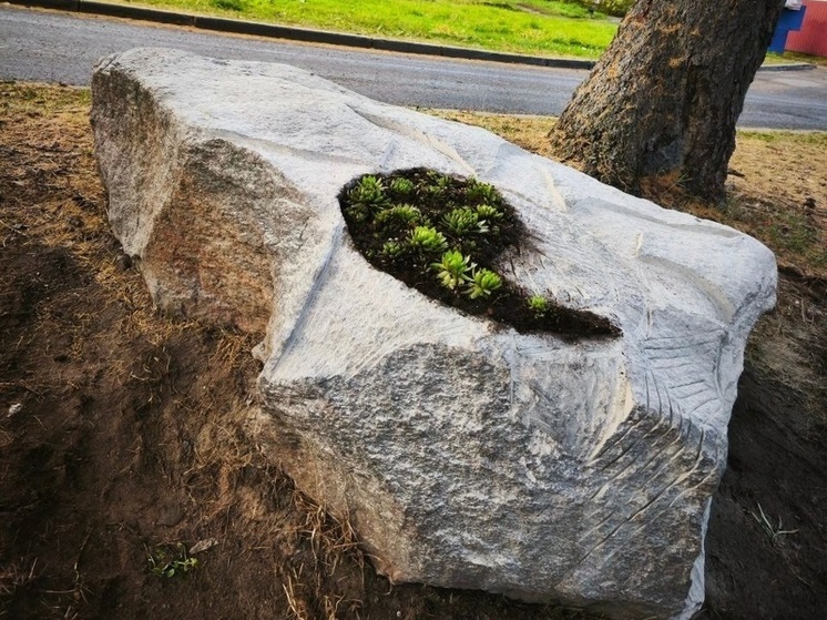 В Петрозаводске появится еще один зеркальный камень