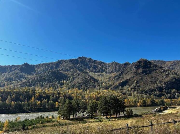 Суд обязал бизнесмена из Барнаула снести турбазу в Чемальском районе Алтая