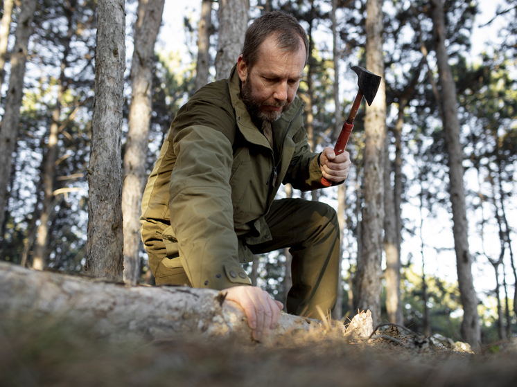 Преступная группа «черных лесорубов» в Красноярском крае выплатит 2,7 млн рублей за незаконную вырубку