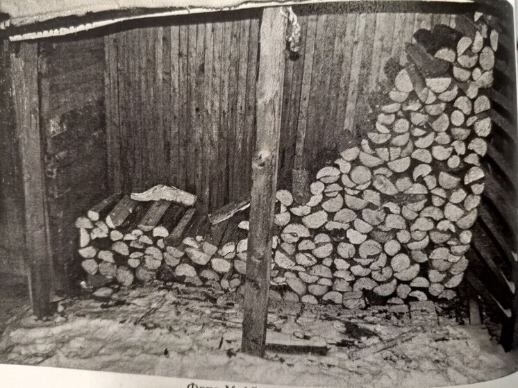 Архангелогородец чуть не убил четырех человек, заложив мину в дрова