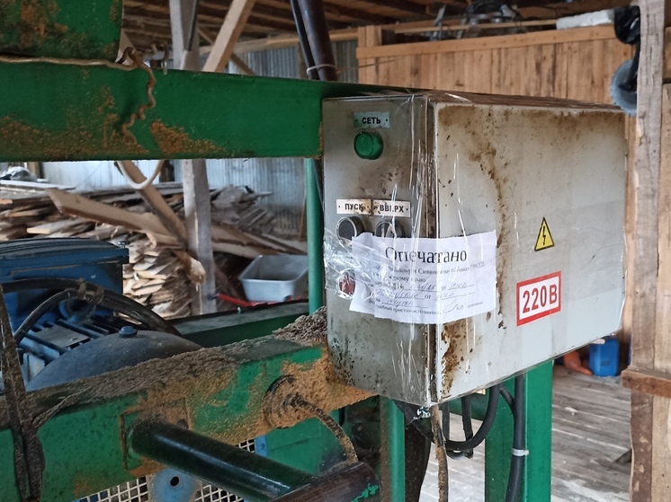 Судебные приставы опечатали пилораму, где работал мигрант без патента