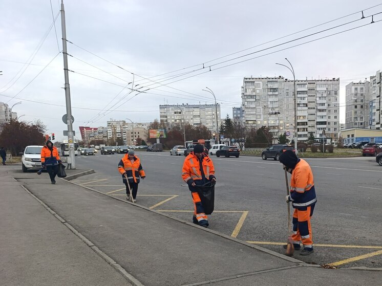 В Кемерове на уборку города вышли почти 100 единиц техники и 177 рабочих