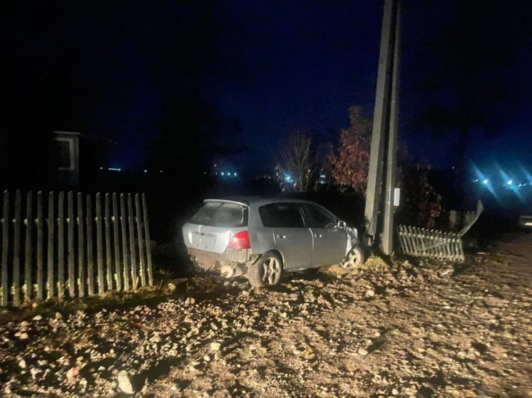 На Алтае пьяный автомобилист пытался скрыться от ДПС и протаранил ЛЭП