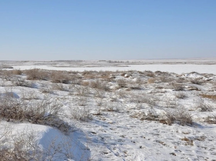 Какой будет погода в Калмыкии: приметы расскажут