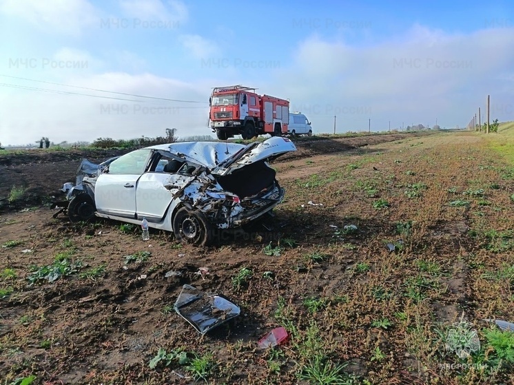 В херсонском селе Заозерное разбилась легковушка