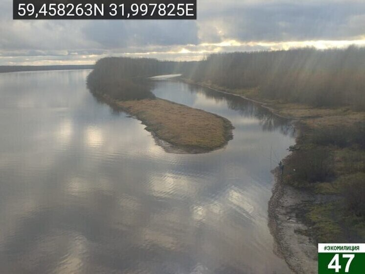 Проверка Госэконадзора не нашла загрязнения русла Волхова