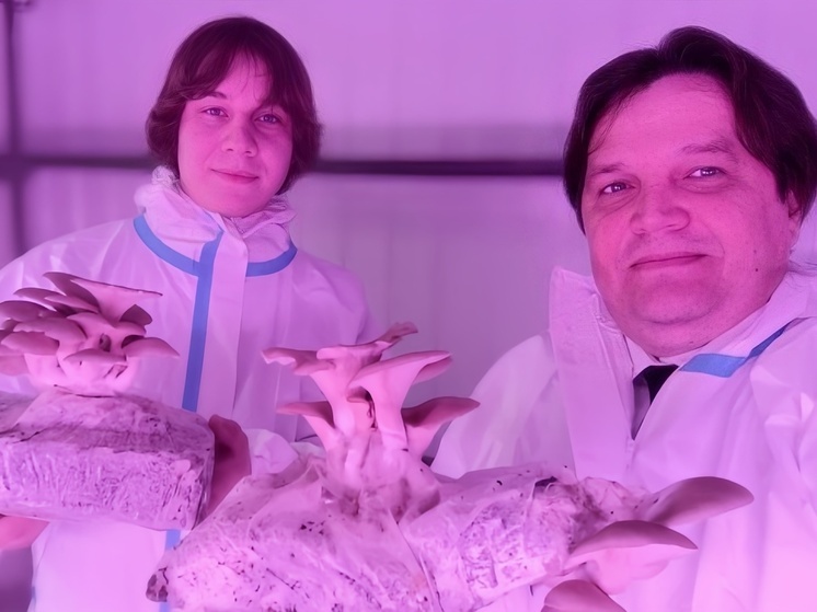 Студенты из Нижнего разработали «Mushroom Module» и выиграли миллион