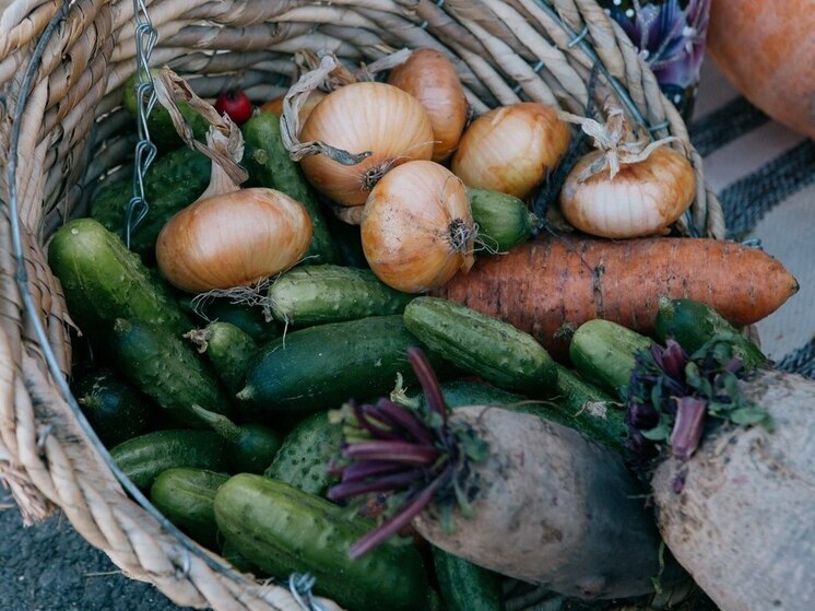 Пензенский онколог рассказала, какие продукты помогают защититься от рака