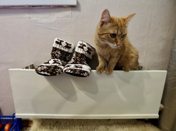 В Челябинске на ЧМЗ больше 70 зданий останутся без тепла на день