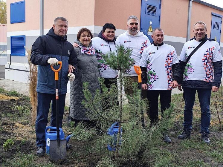 В Донецке возле перинатального центра появился «Сад памяти»