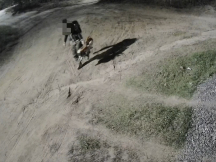 Житель Лодейного Поля попал на камеру видеонаблюдения во время кражи