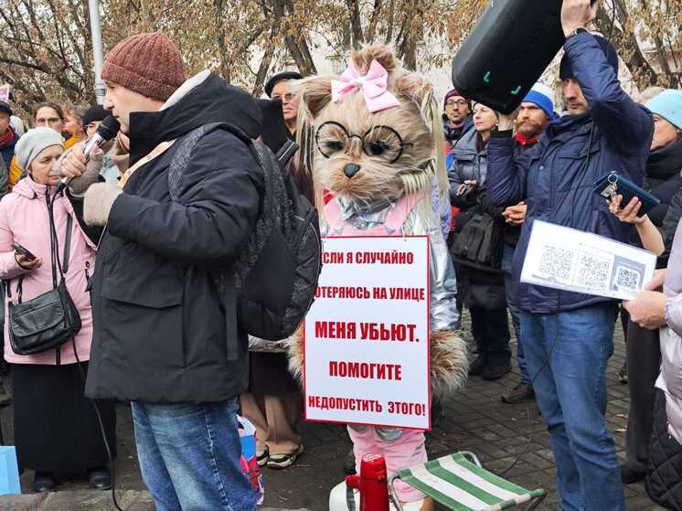 "Эвтаназия – не выход?": 200 новосибирцев вышли на митинг против закона об умерщвлении бездомных собак