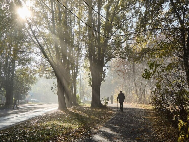 Тепло и без осадков: прогноз погоды для пензенцев на 5 ноября