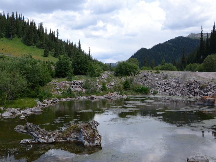 Азиатские дневники ученого Мурзаева
