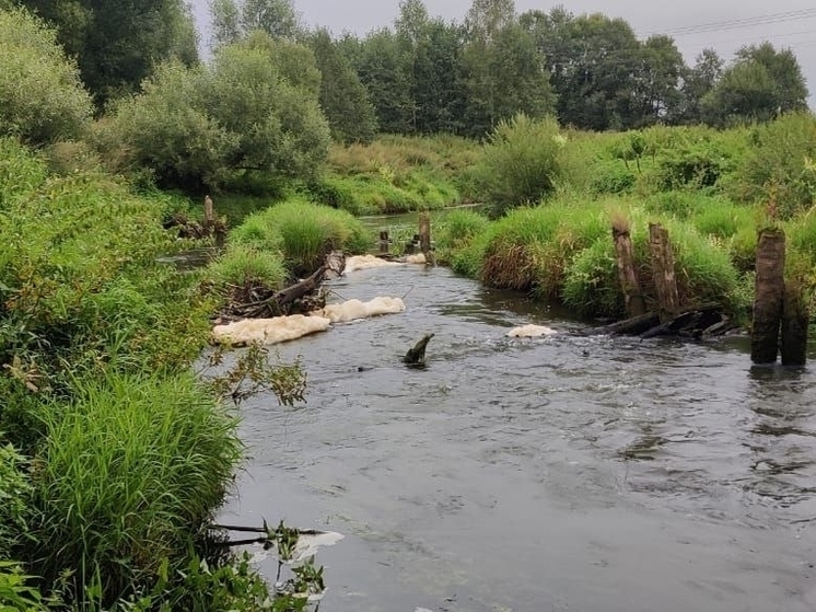 В Кольчугино прокурор разбирается с фактом загрязнения реки Пекша