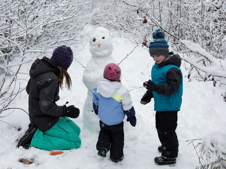 Даты зимних каникул для школьников назвали в Новосибирске