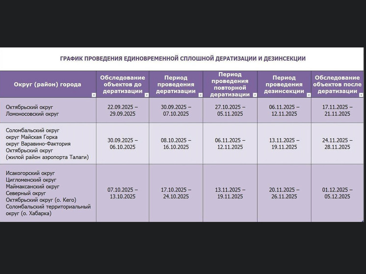 Травля крыс в Архангельске продолжается с переменным успехом