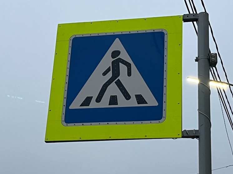 В Макеевке у школы №29 планируют установить «лежачих полицейских»