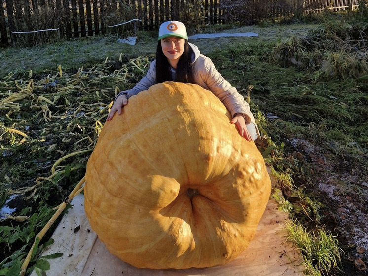 Жительница Архангельской области вырастила гигантскую тыкву весом 251 кг