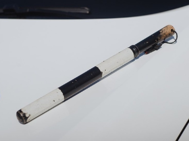 Подделка документа для авто: кузнечанка стала фигуранткой уголовного дела