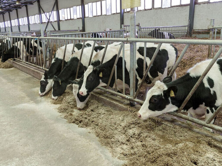 АНО «ОРХ «Ясногорье» в Тульской области влепили штраф за нарушения с отходами