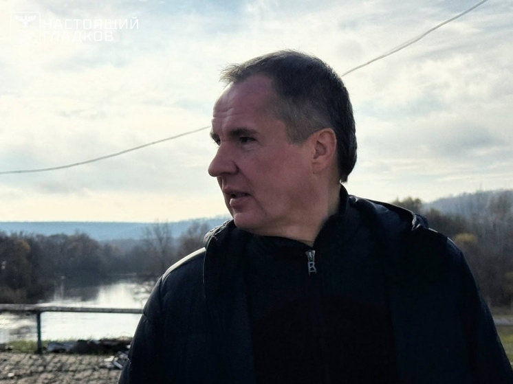 Вячеслав Гладков оценил ущерб от атак ВСУ в Масловой Пристани