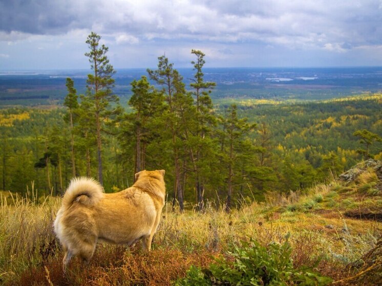 Четверых травмированных туристов эвакуировали из южноуральских нацпарков