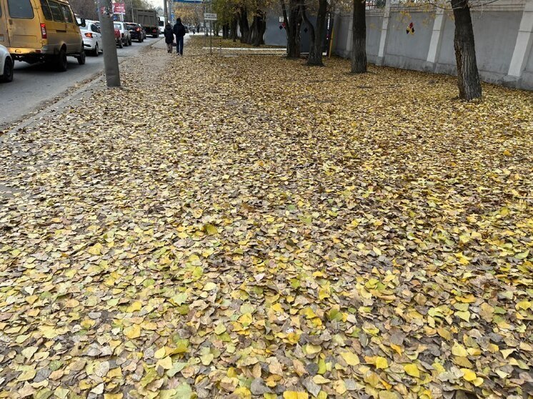 Саратовскую область ждет потепление и переменная облачность