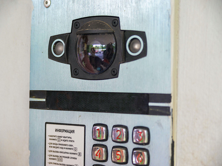 Два случая мошенничества с домофонами пресекли на Южном Урале
