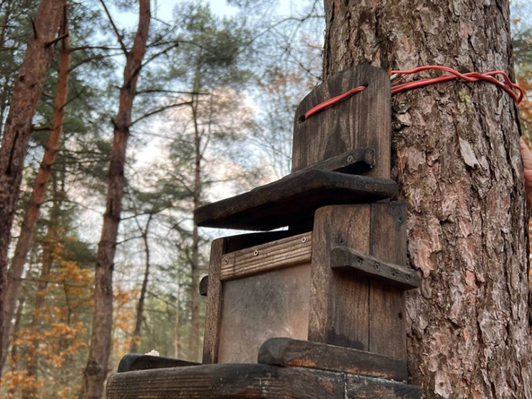 Директор Калининградского зоопарка напомнила о необходимости чистить кормушки