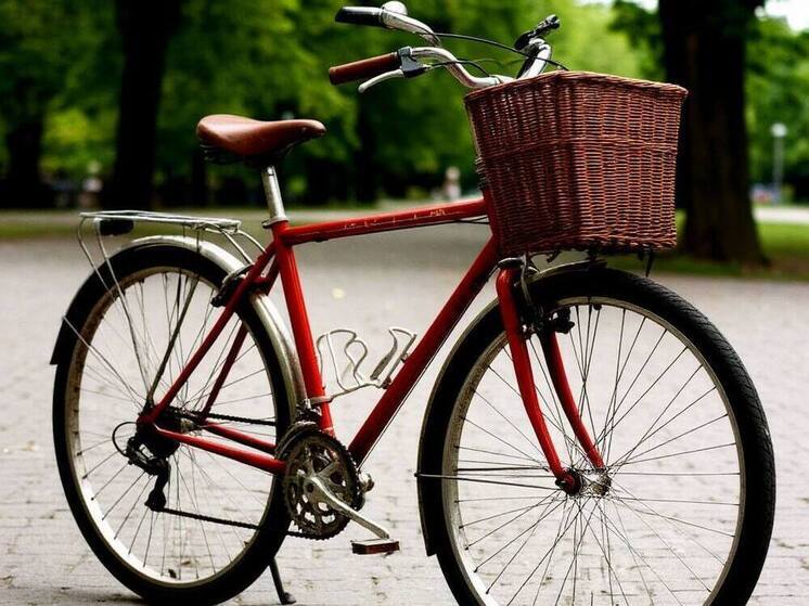 Астраханец украл непристегнутый велосипед и может сесть на 5 лет