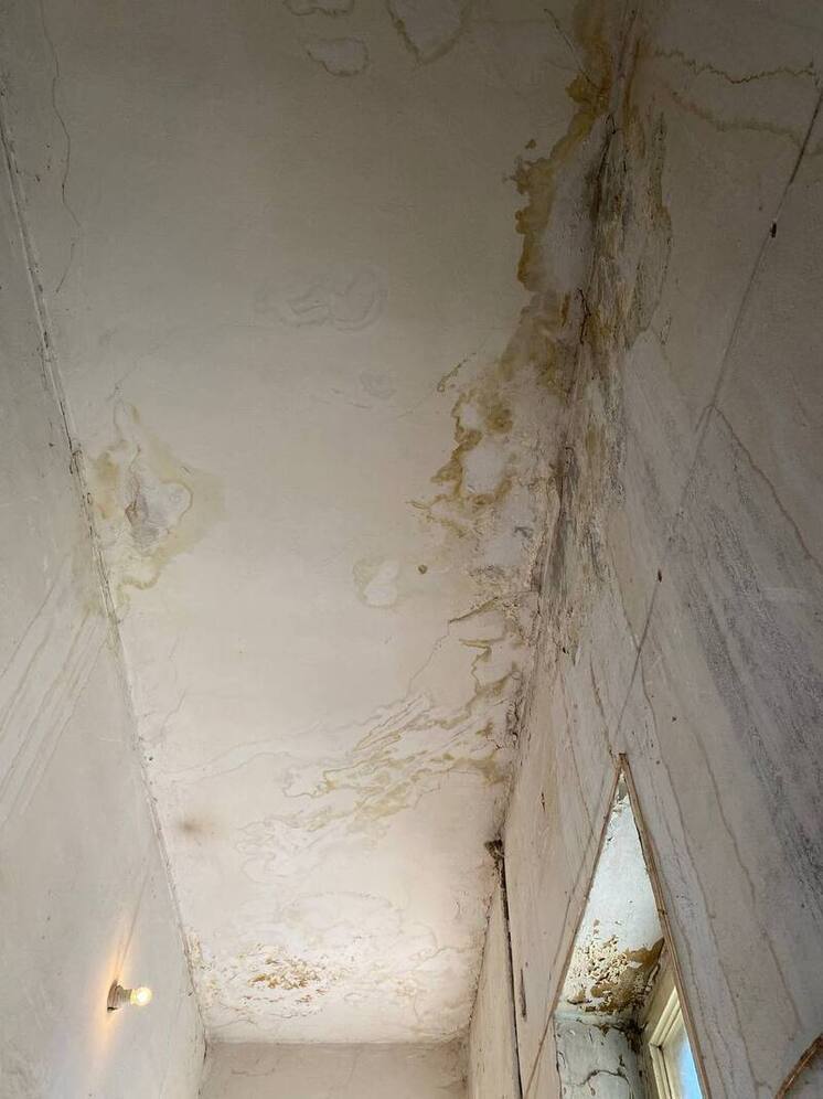 Глава СК России взял под защиту жильцов калужского дома-памятника