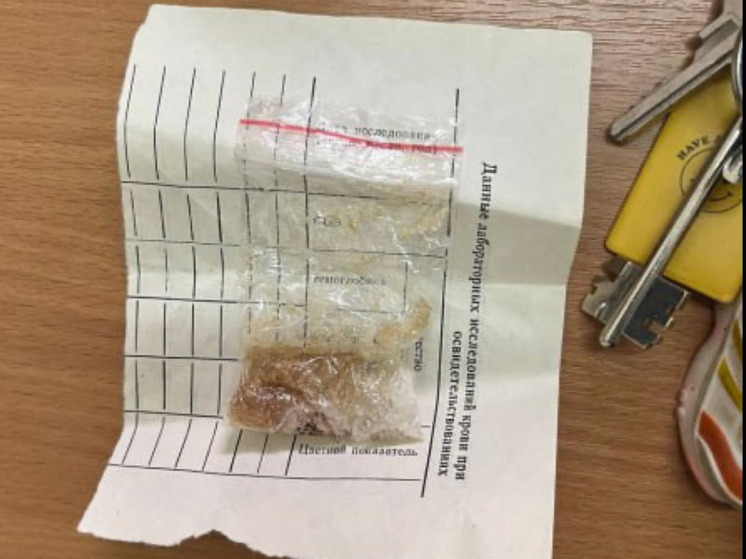 Мурманчанка вышла из леса с крупной партией «синтетики» вместо грибов