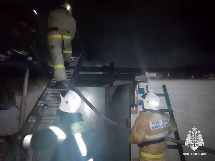 В Ракитянском районе горели сарай и летняя кухня под одной крышей