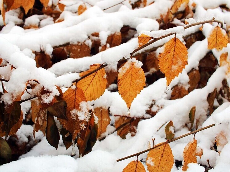 Губернатор Омской области обратился к жителям из-за непогоды