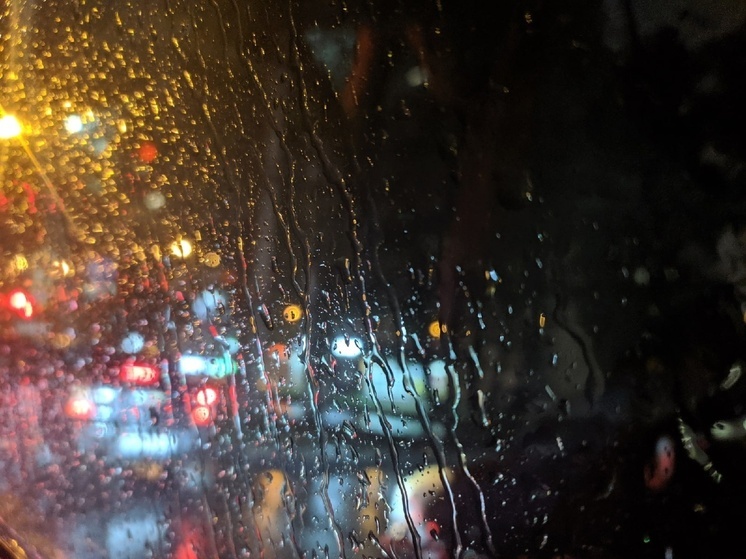 Теплая осень продолжается в Вологодской области