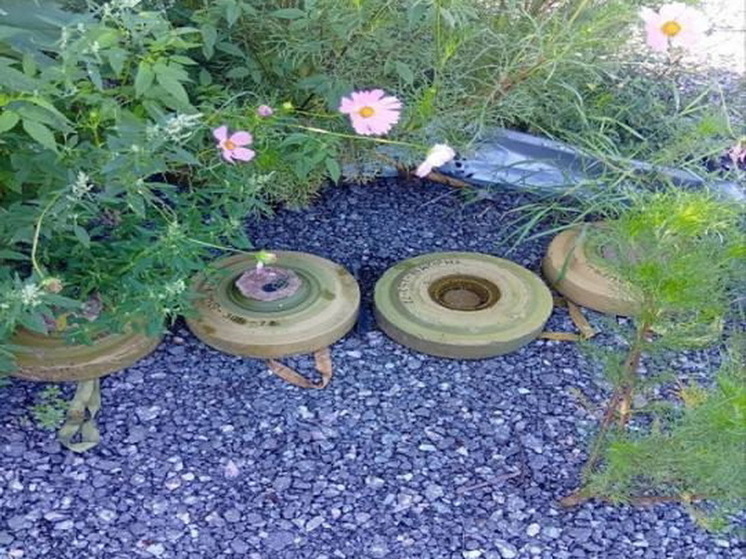 В Курской области завершено разминирование 92 населенных пунктов