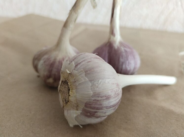 Белгородцам назвали места для покупки продуктов по низким ценам