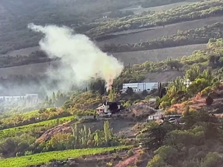 В Ялте применяют искусственный интеллект для борьбы с пожарами