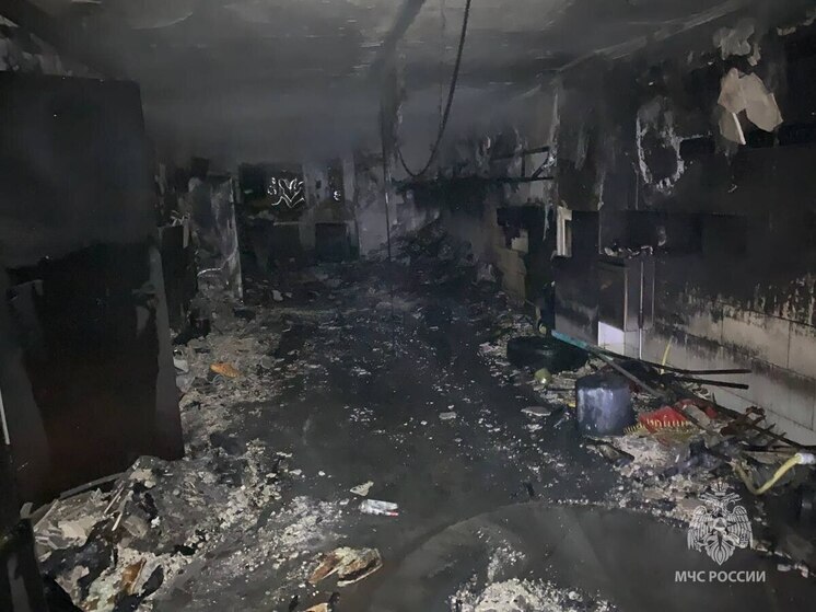 Калининградские пожарные спасли собаку из горящего дома