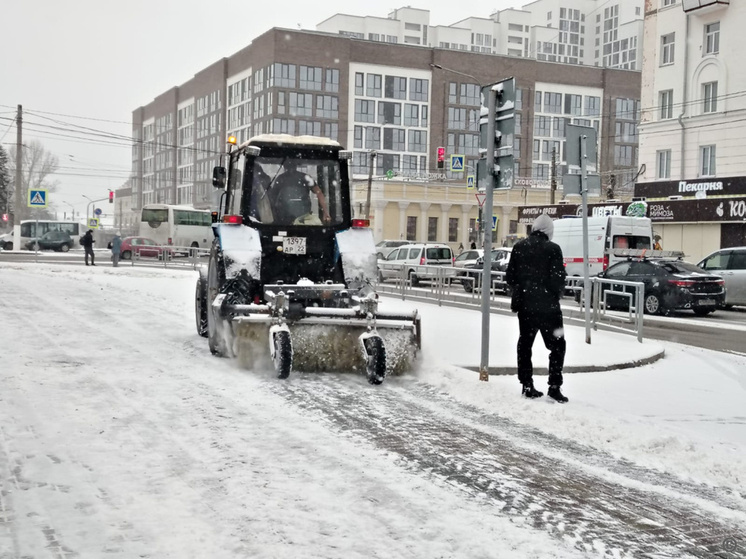 В Барнауле 75 единиц техники вышли на борьбу со снегопадом и гололедом